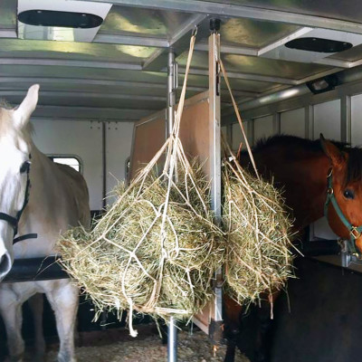 Wisteria Farms Services: Horse Care.